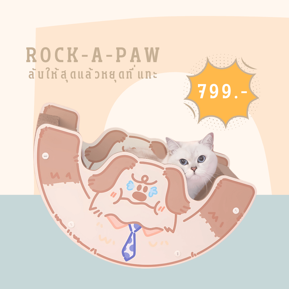 ที่ฝนเล็บแมวเปลโยก PETELLE รุ่น PAW PAD (ROCK-A-PAW)_1